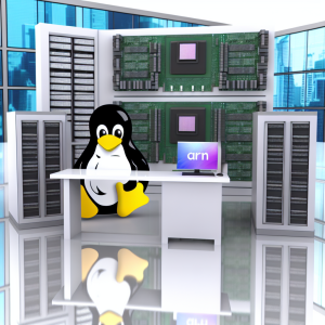Unlocking Potential: ARM Linux and RISC-V Support for Open-Source Hardware